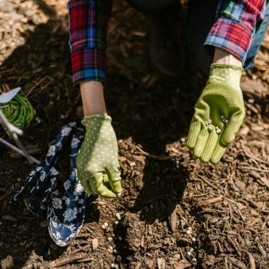 Person in checkered shirt planting seeds with green gloves in a garden.