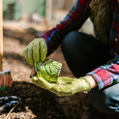 Woman wearing gloves planting seeds from a packet in a garden. Perfect for gardening and lifestyle themes.